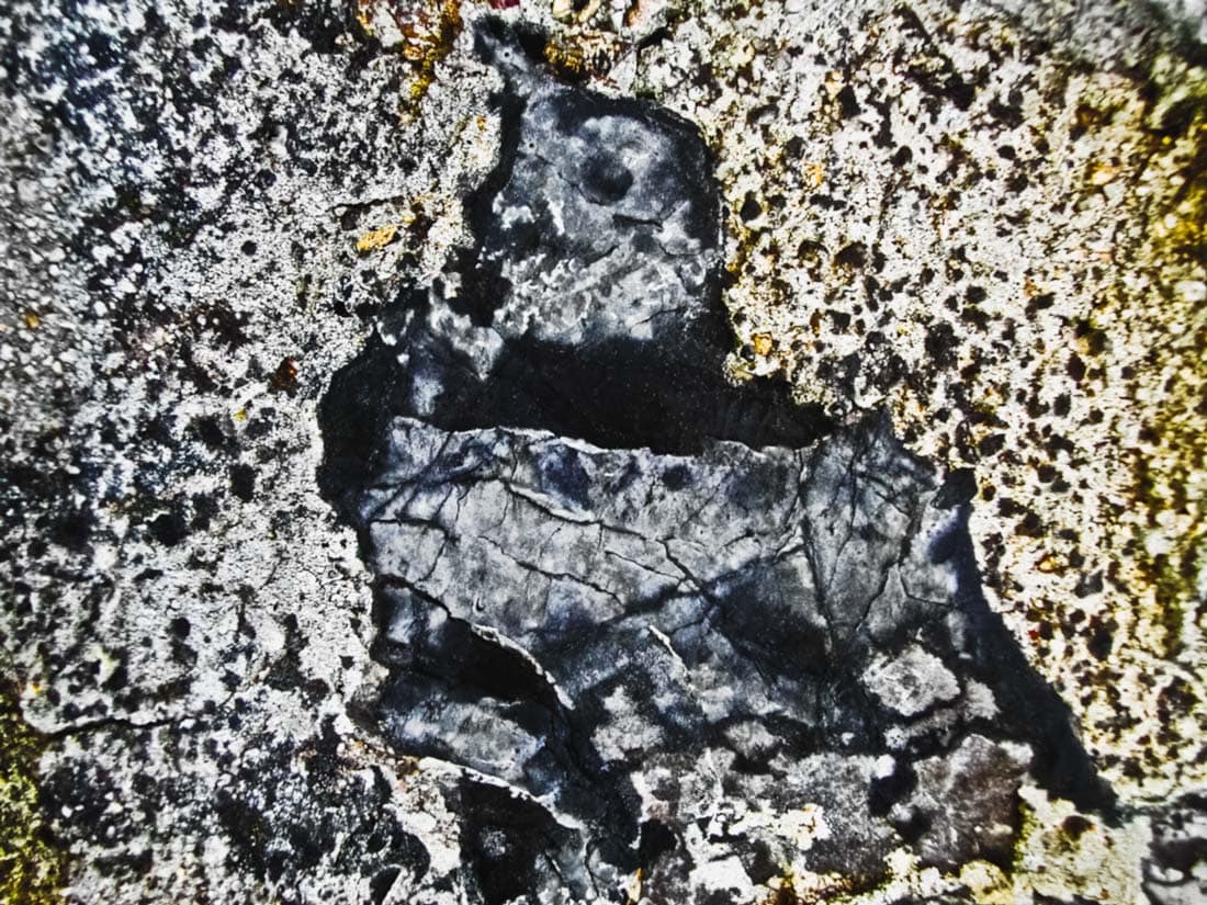 Corbeau