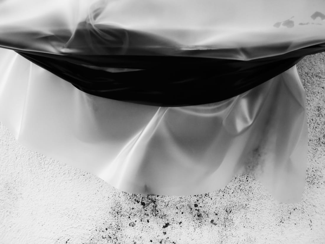 Dissimulation