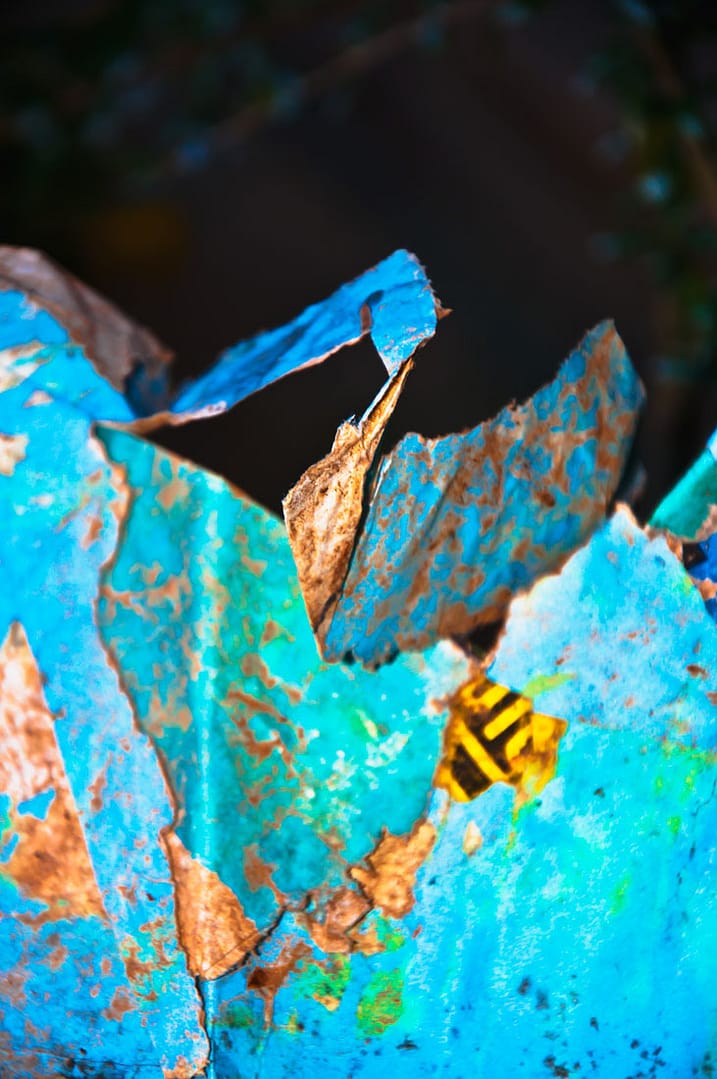 Oiseau bleu