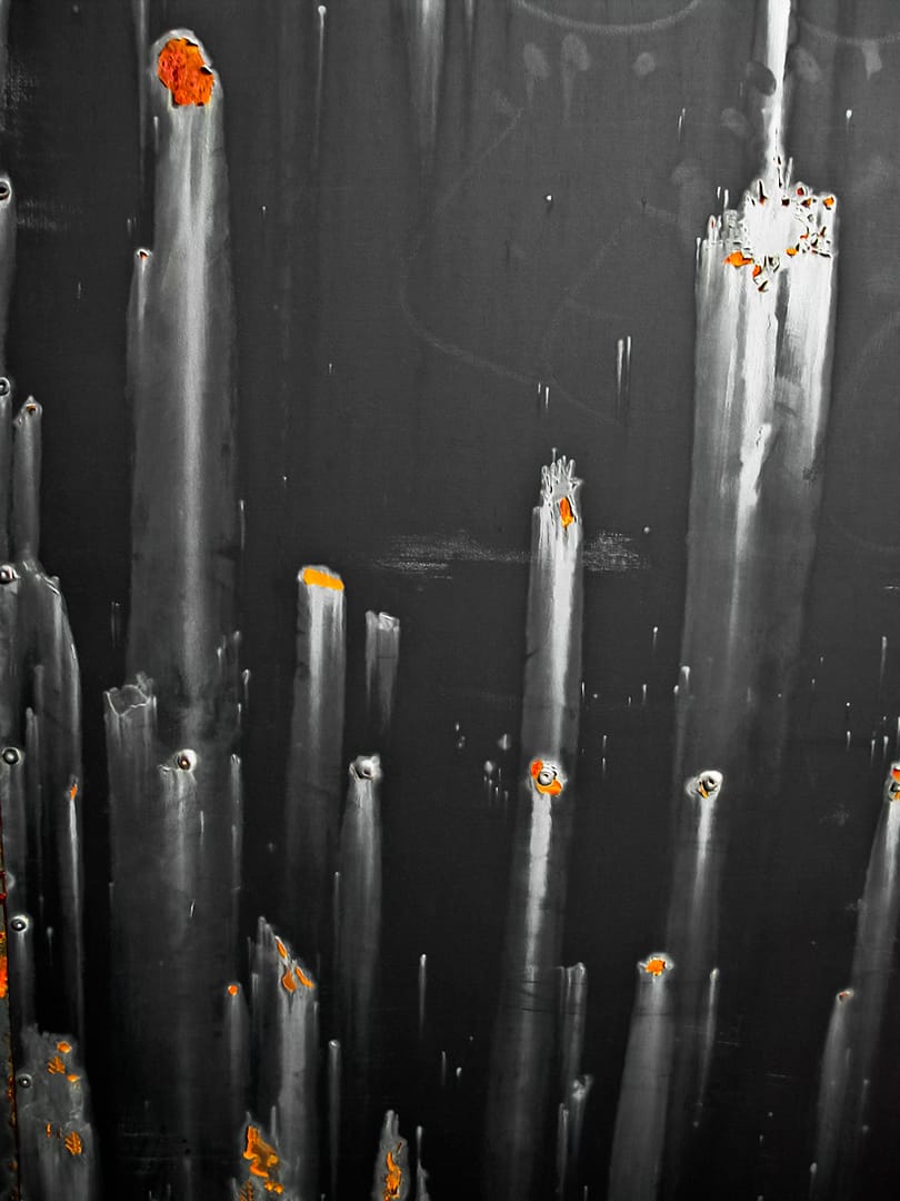 Feux d'artifice 1